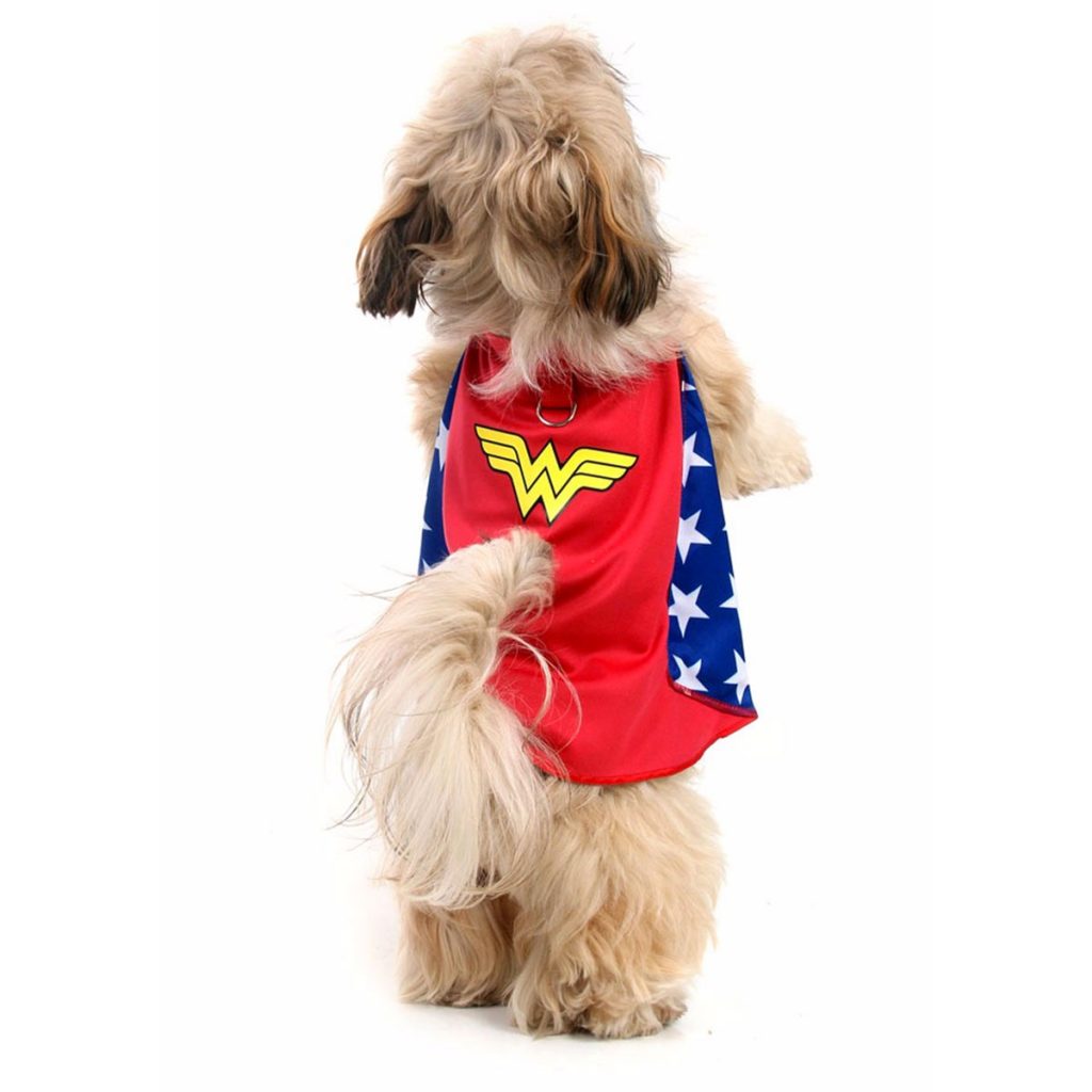 O pet maravilha do seu carnaval!