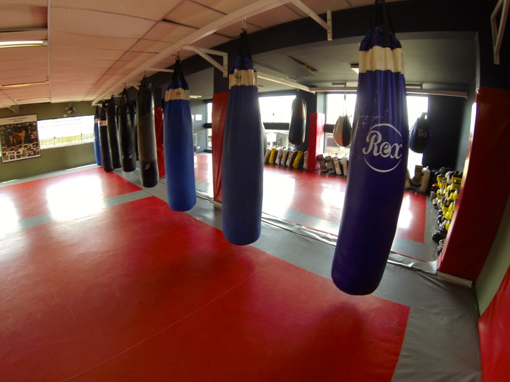 Que tal mesclar academia com modalidades de luta?