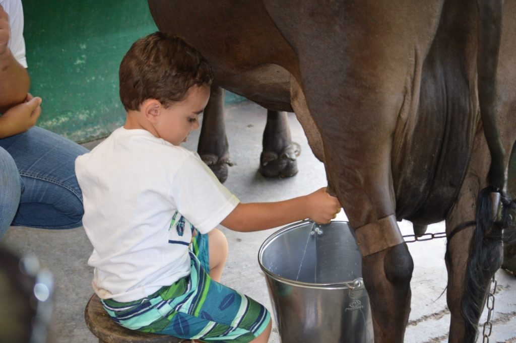 O espaço possui um total de 9 alqueires e possui funcionários treinados para atender as crianças. Foto: Divulgação.