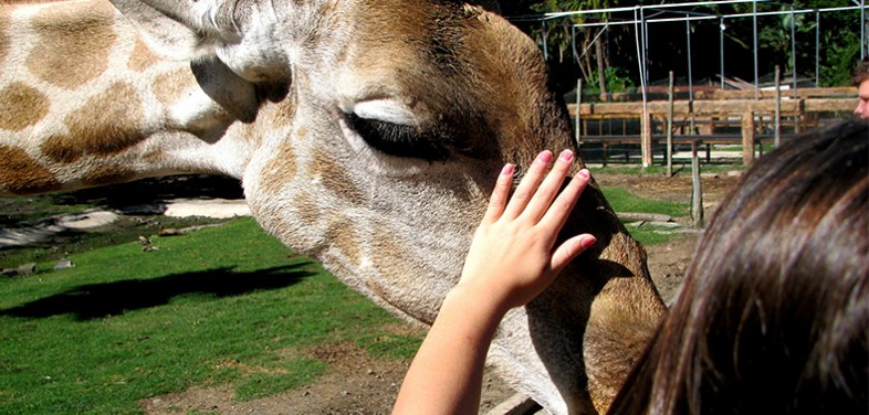 Zoológico de Curitiba