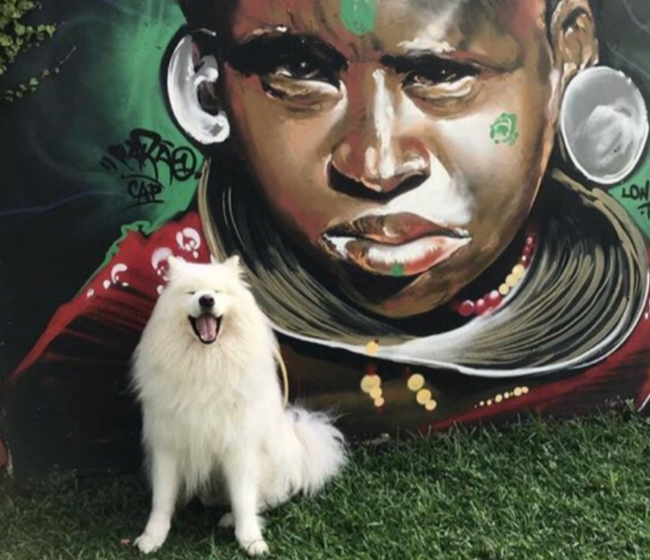 Muros por Curitiba Foto: @leocapablanca