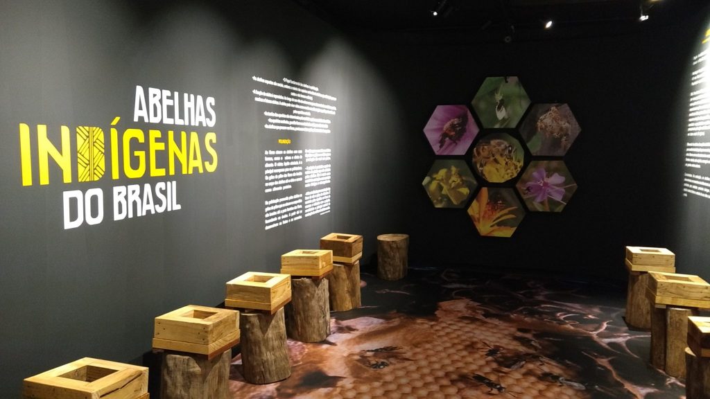 Mostra "Abelhas Indígenas" fica até o meio do ano.