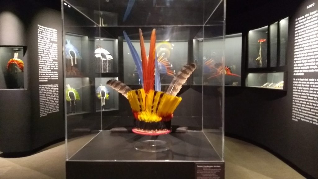 Imponentes cocares e adornos masculinos feitos com penas de aves.