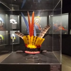 Imponentes cocares e adornos masculinos feitos com penas de aves.