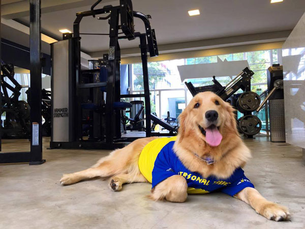 Pantheon Batel Foto: Facebook Pantheon 