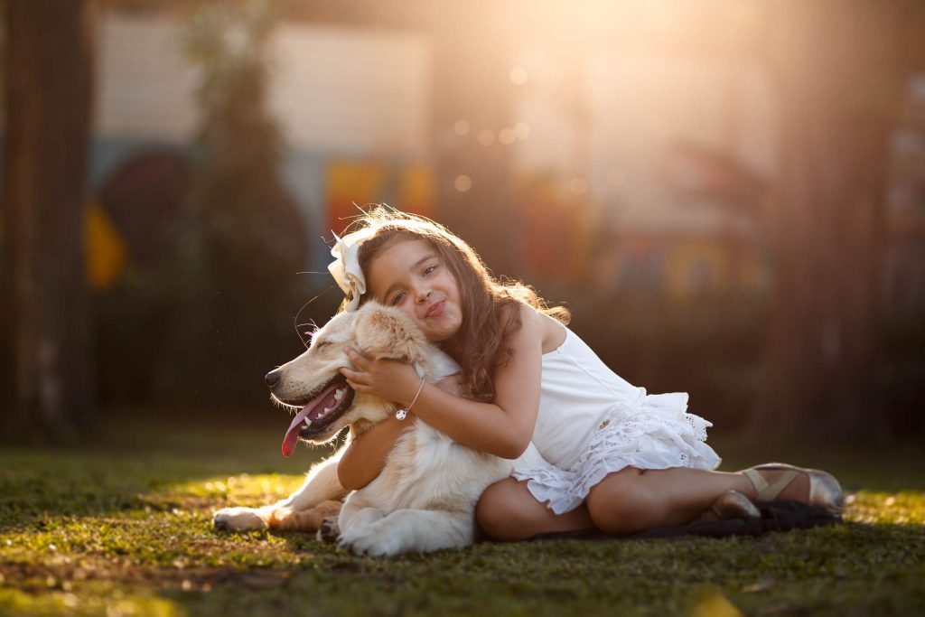 Espaços abertos são ótimos para fotos como o Parque Gomm. Foto: Nadalin Fotografias.
