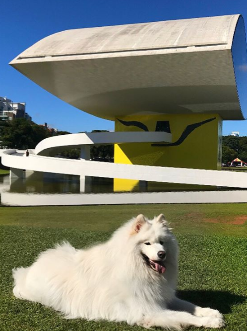 MON Foto: @leocapablanca