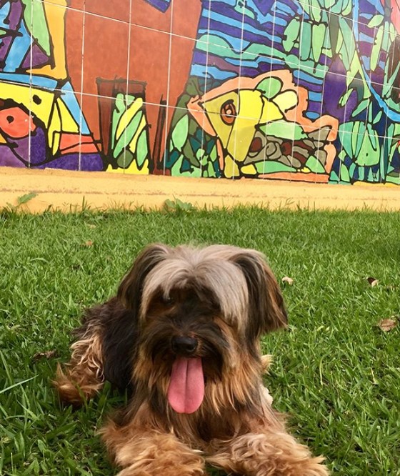 Praça Rio Iguaçu Foto: @nathaly.dias