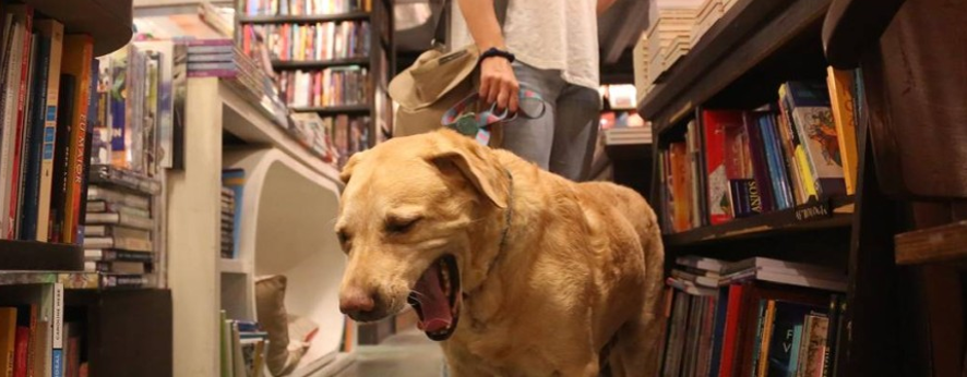 Livraria da Vila . Foto Divulgação