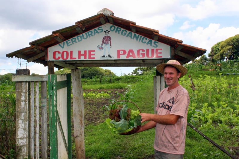 Verduras orgânicas direto para a sua mesa! Foto: Prefeitura de Colombo.
