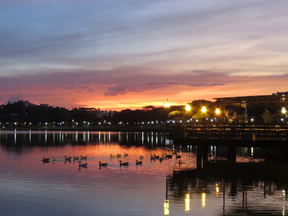 Beleza que não cabe numa foto. Foto: Adri Kukla