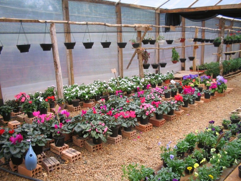 Vejo flores em você! Foto: Google