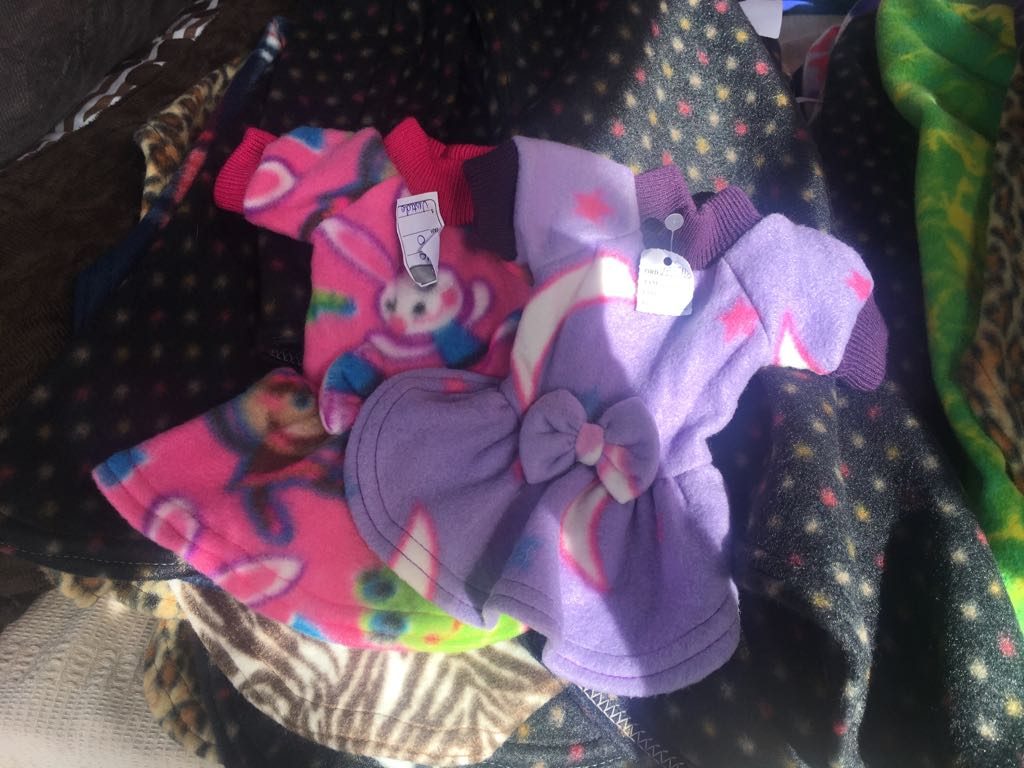 Além de comprar roupas para seu pet, dá pra passear pela Feira! Foto: Facebook BarraCão