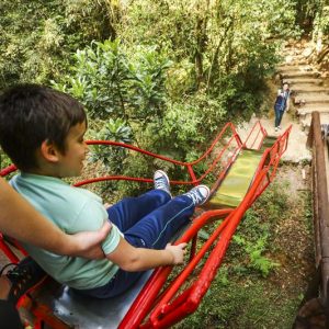 Diversão a custo zero. Foto: PMC