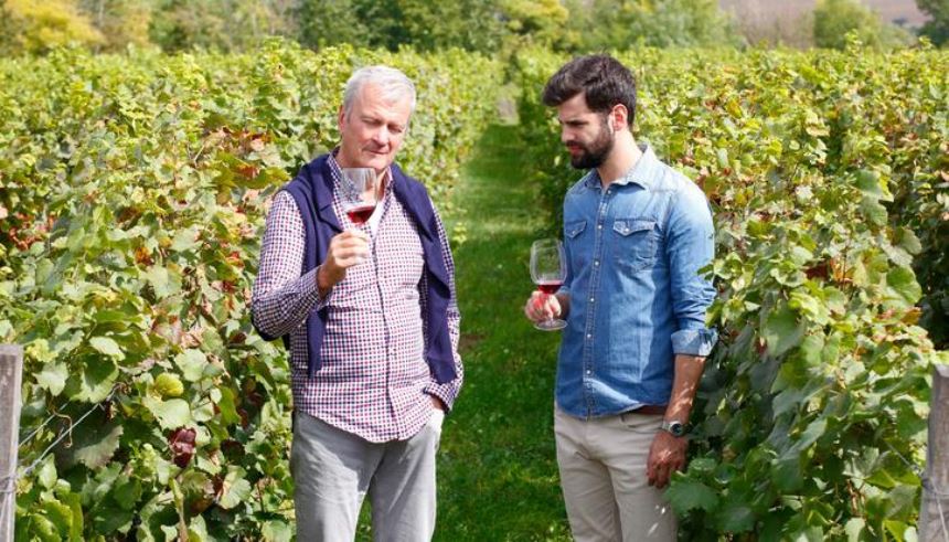 Um Tour pelo vinhedo. Foto Divulgação