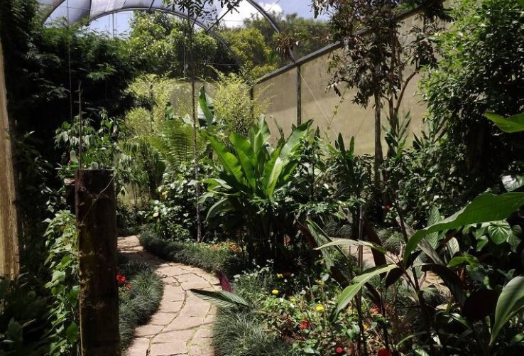 Estufa do Borboletário Serelepe. Foto divulgação